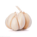 Red Garlic Pure White Garlic Chinese High Quality Supplier